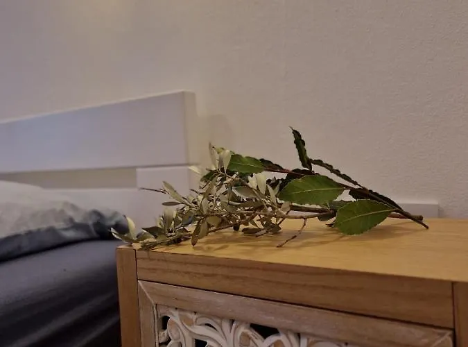 Apartamento Lavanda 1 *