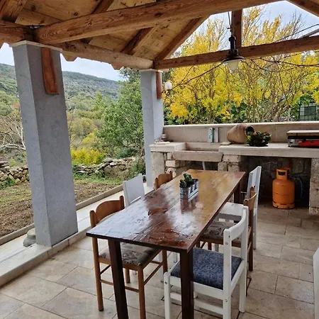 Lavanda 1 * Cres
