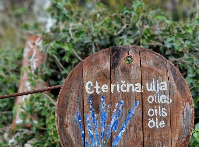 Lavanda 1